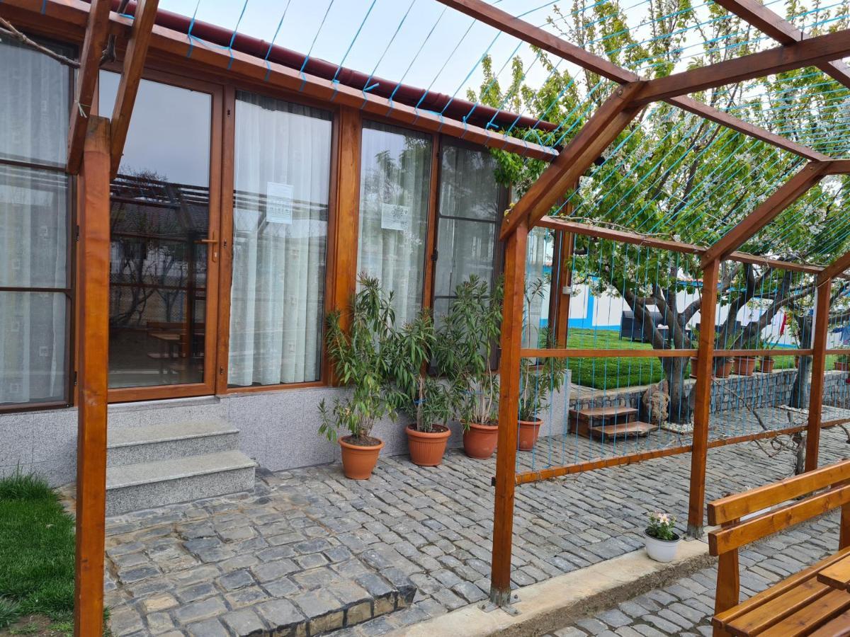 ホテル Casa Matei マフムディア エクステリア 写真
